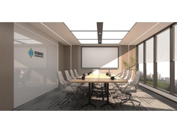 华轩阳：国产芯片替代先行者，筑牢供应链安全，赋能降本增效