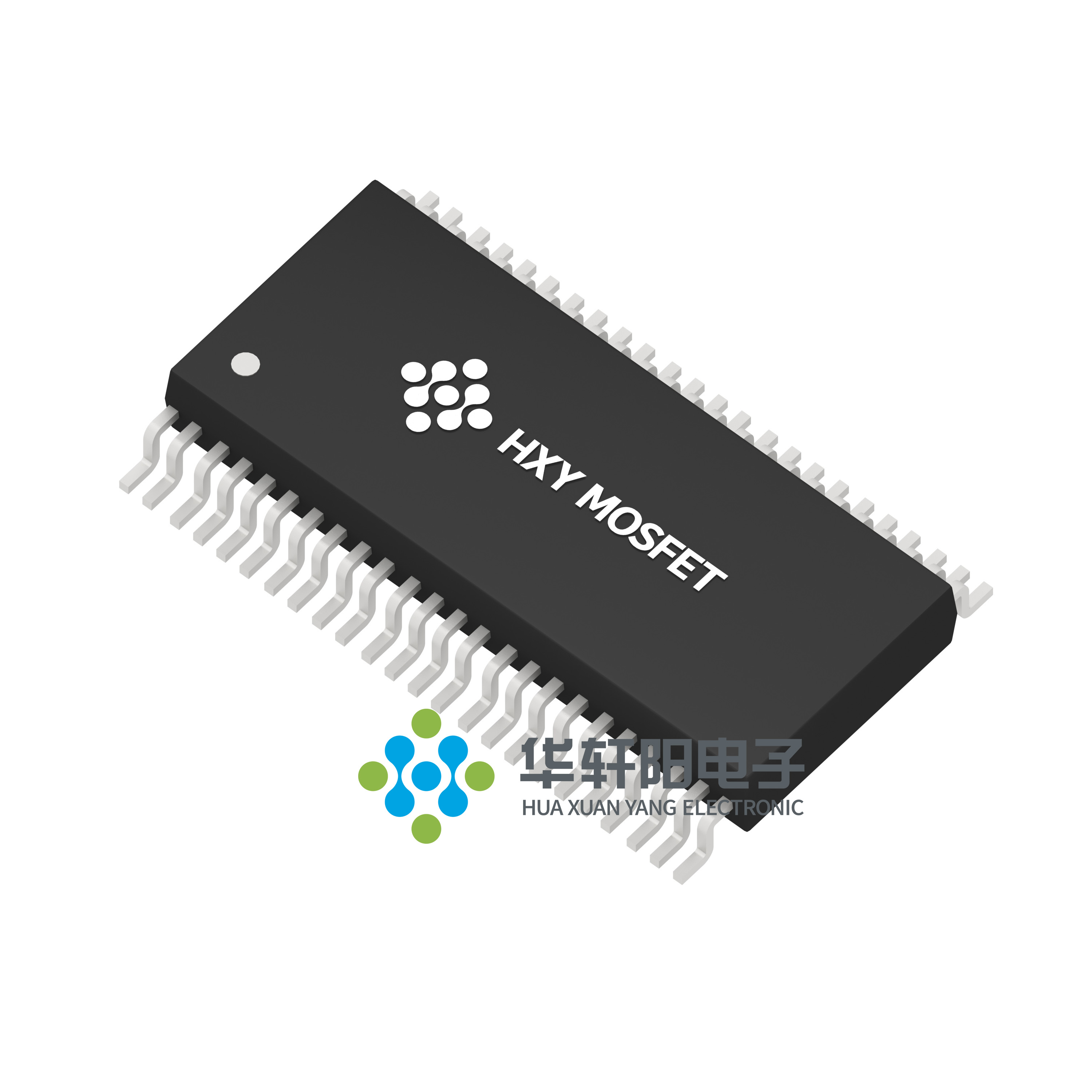 TM1621B(SSOP-48)
